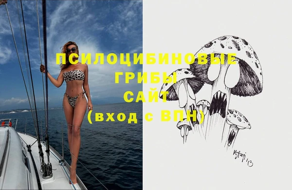 эйфоретик Горнозаводск