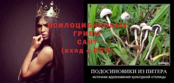 эйфоретик Горнозаводск